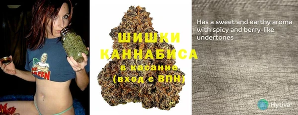 соль ск Абаза