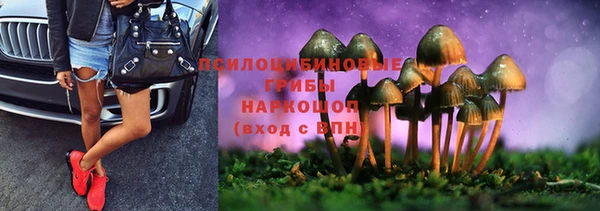 прущий лед Алексин