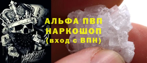 спиды Ельня
