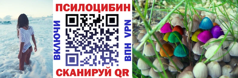 Псилоцибиновые грибы Cubensis Дегтярск